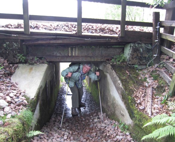 I struggle through a 