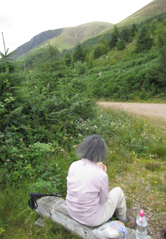 Trackside lunch amid blackberries with Scotland's dour highland hills glowering above.