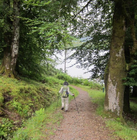 Another potentially dangerous descent on the north shore of Loch Lochy, Great Glen Way, 8 August, 2015.