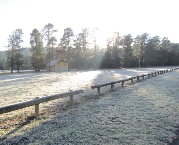Tuggeranong_Ice_Age_sunlight_on_frost