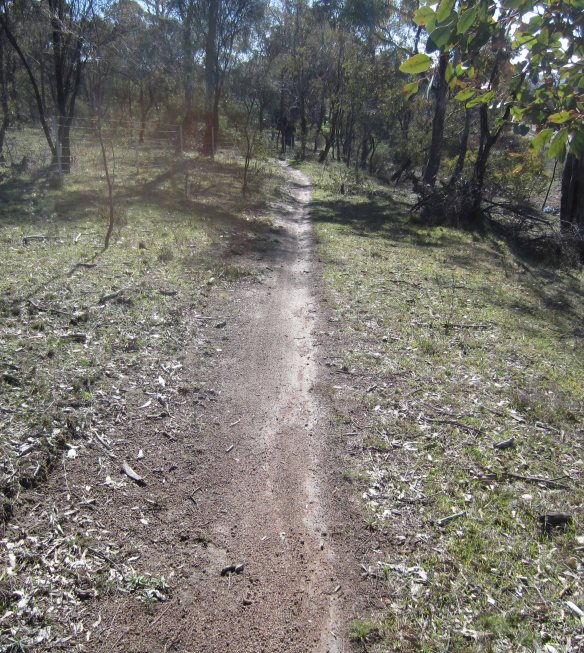 Lake-to-Lake_bush_path