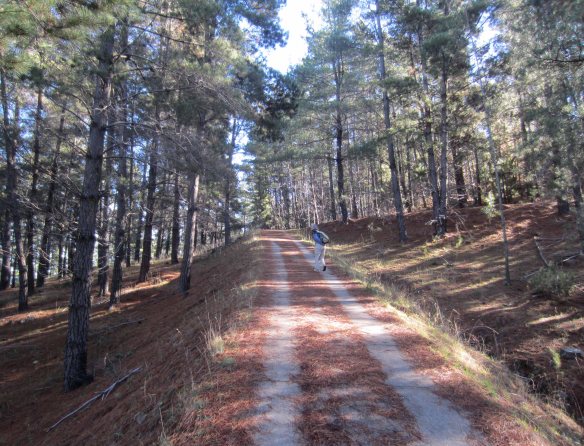 Lake-to-Lake_Isaacs_Pines