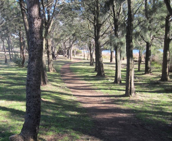 Tracks_picturesque_walking