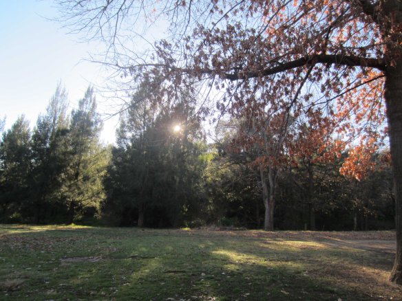 Tracks_Point_Hut_park