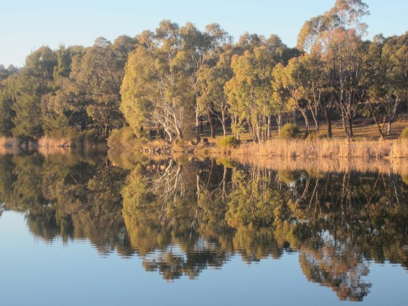 Tracks_Stranger_Weir
