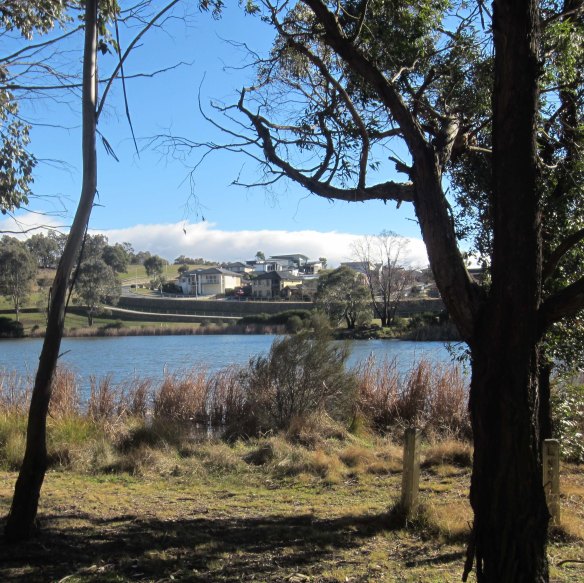 Tracks_suburban_houses_approach