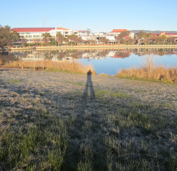 Two_bananas_shadow_over_lake