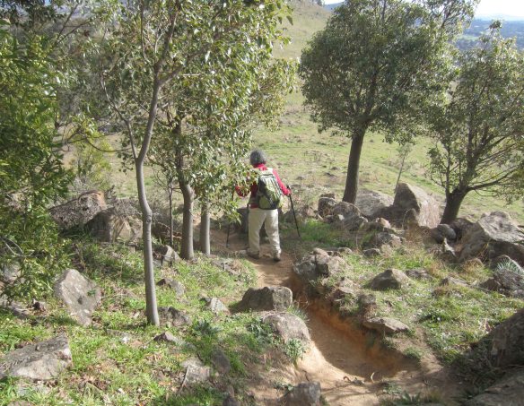 urambi_rough_walking