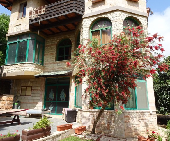 1Jesus_Aussie_bottlebrush_Mashhad