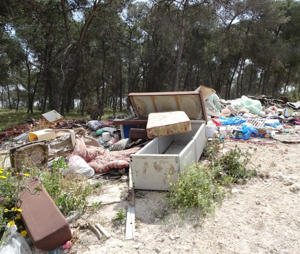 1Jesus_Rubbish_in_forest